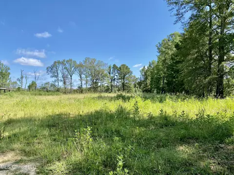 0 Cynthia Rd, Jackson, MS 39209 photo 2