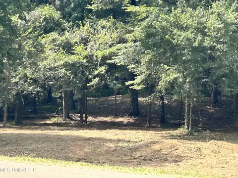1 Fogg Rd, Nesbit, MS 38651 photo 2