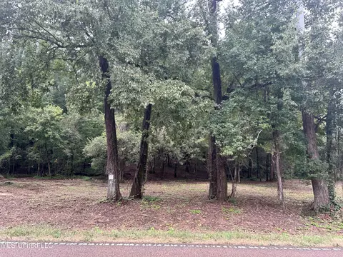 1 Fogg Rd, Nesbit, MS 38651 photo 3