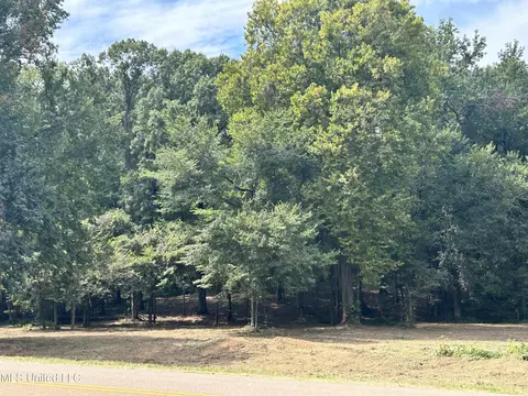 2 Fogg Rd, Nesbit, MS 38651