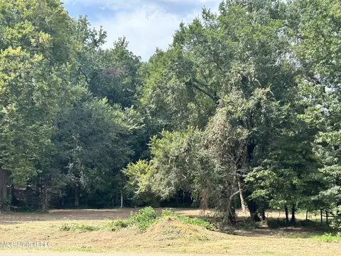 2 Fogg Rd, Nesbit, MS 38651 photo 2