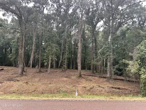 3 Fogg Rd, Nesbit, MS 38651