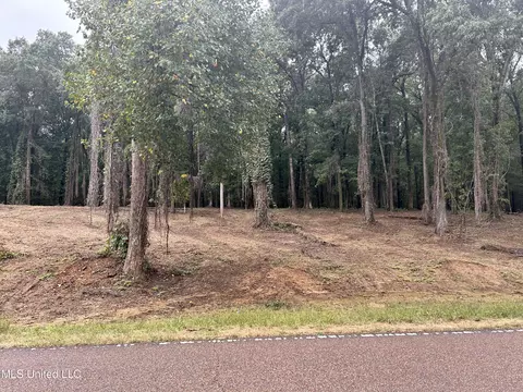 6 Fogg Rd, Nesbit, MS 38651
