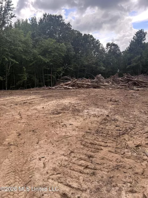 6 Fogg Rd, Nesbit, MS 38651 photo 7