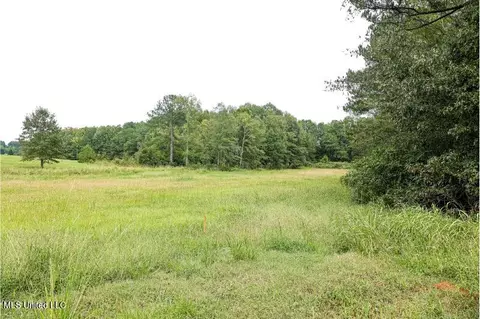 Sharon Road, Canton, MS 39046 photo 4