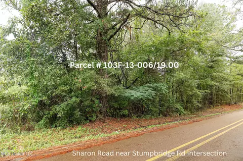 Sharon Road, Canton, MS 39046 photo 3
