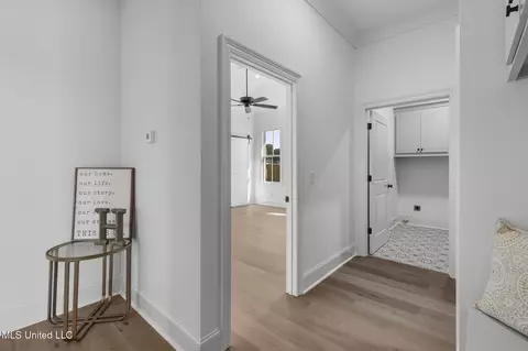 Entry Way - 227 Lizzy Ln, Brandon, MS 39047 photo 6 of 10