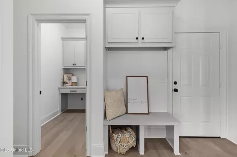 Entry Way - 227 Lizzy Ln, Brandon, MS 39047 photo 7 of 10