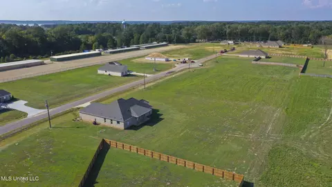 View/Area - 227 Lizzy Ln, Brandon, MS 39047 photo 2 of 6