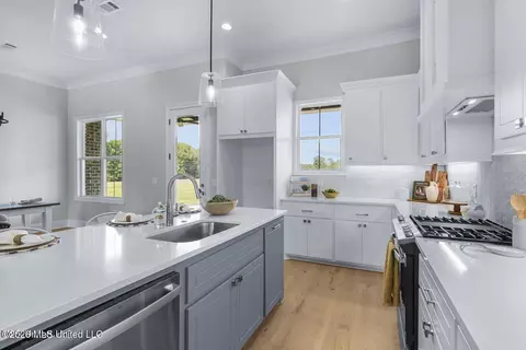 Kitchen - 227 Lizzy Ln, Brandon, MS 39047 photo 5 of 5
