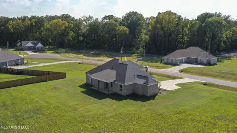 View/Area - 227 Lizzy Ln, Brandon, MS 39047 photo 6 of 6