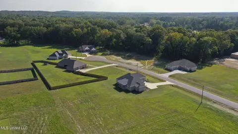 View/Area - 227 Lizzy Ln, Brandon, MS 39047 photo 4 of 6