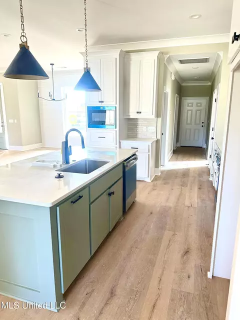 Kitchen - 226 Lizzy Ln, Brandon, MS 39047 photo 1 of 1