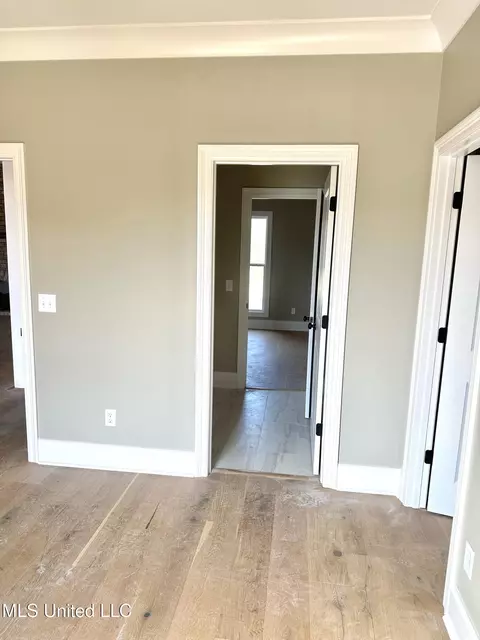 Entry Way - 226 Lizzy Ln, Brandon, MS 39047 photo 2 of 2