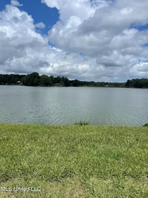 View/Area - 1405 N Thunderbird, Hernando, MS 38632 photo 6 of 6