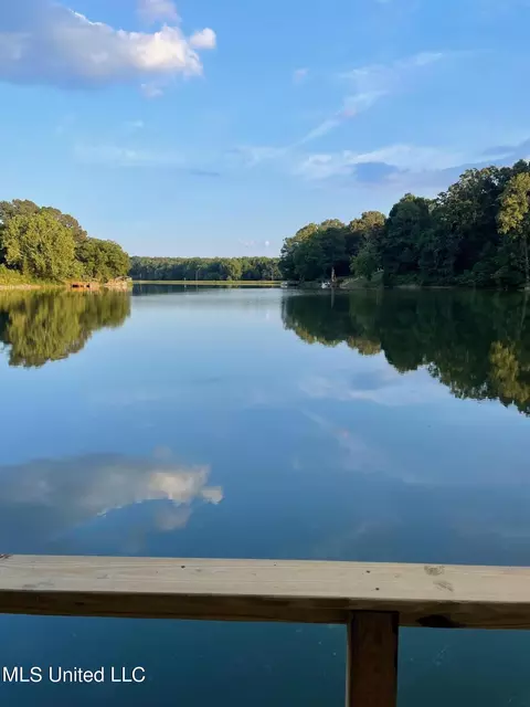 View/Area - 1405 N Thunderbird, Hernando, MS 38632 photo 1 of 6