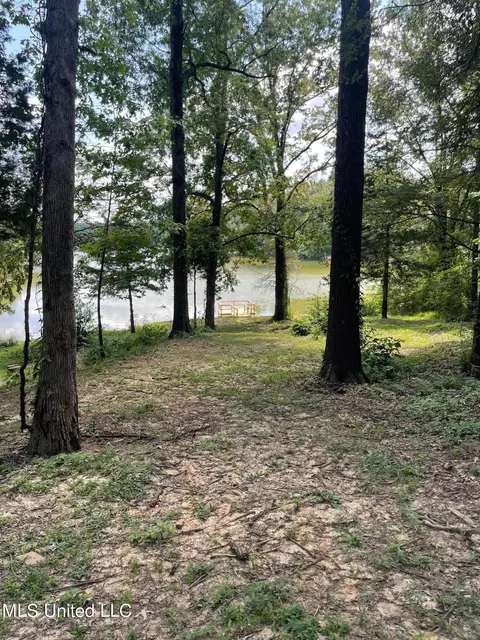 View/Area - 1405 N Thunderbird, Hernando, MS 38632 photo 4 of 6