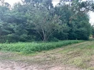 Red Oak Ext, Lucedale, MS 39452 photo 7