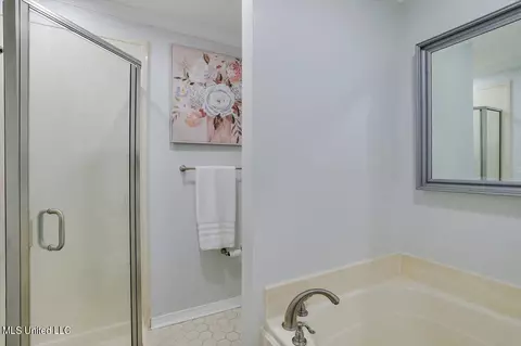 Bath - 209 Coachmans Rd, Madison, MS 39110 photo 2 of 4