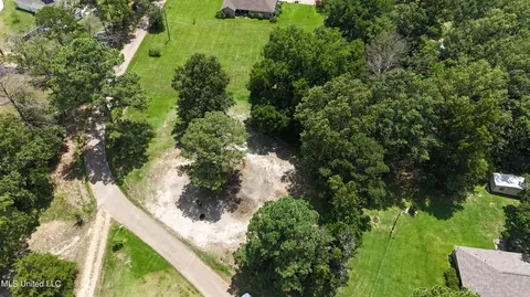 Burnett Drive, Brandon, MS 39047 photo 2
