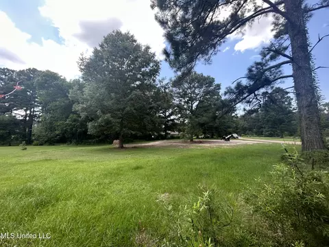 Burnett Drive, Brandon, MS 39047 photo 3