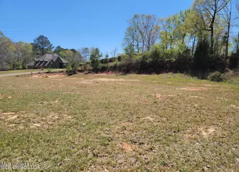 184 Magnolia Spgs, Florence, MS 39073 photo 5