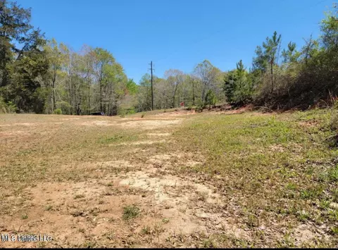 184 Magnolia Spgs, Florence, MS 39073 photo 2