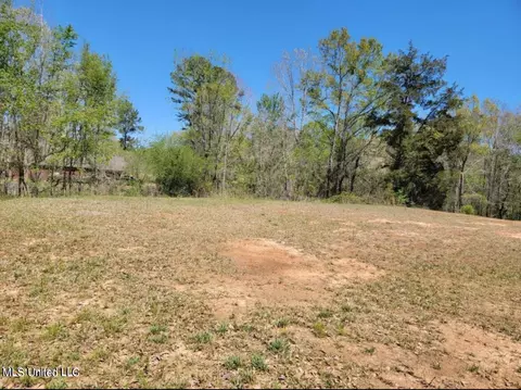 184 Magnolia Spgs, Florence, MS 39073