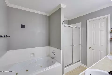 Bath - 300 Briars Bnd, Brandon, MS 39042 photo 1 of 3