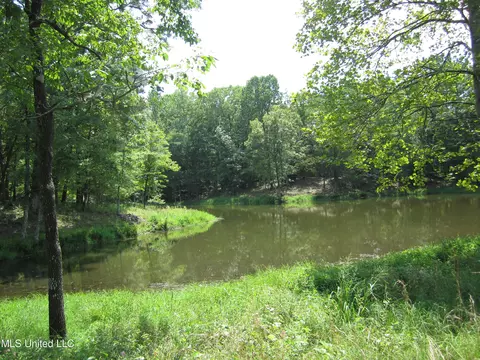 Mitchell Duke Road, Pontotoc, MS 38863 photo 6