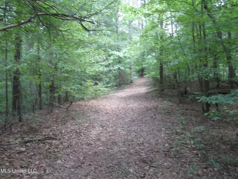 Mitchell Duke Road, Pontotoc, MS 38863 photo 13