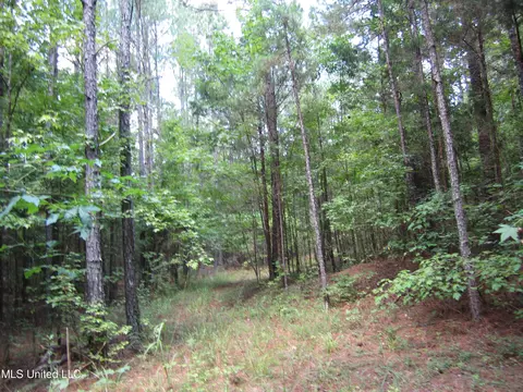Mitchell Duke Road, Pontotoc, MS 38863 photo 2