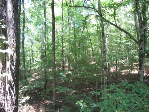 Mitchell Duke Road, Pontotoc, MS 38863 photo 7