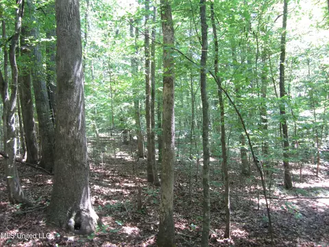 Mitchell Duke Road, Pontotoc, MS 38863 photo 10
