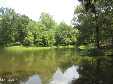 Mitchell Duke Road, Pontotoc, MS 38863 photo 8