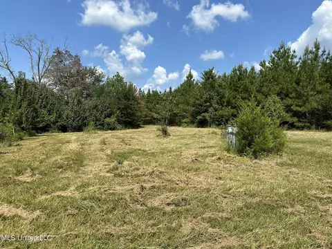 291 Permenter Rd, Camden, MS 39045