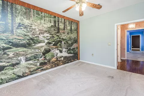Other - 211 Cherry Dr, Brandon, MS 39042 photo 17 of 19