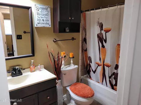Bath - 138 Chestnut Cv, Jackson, MS 39212 photo 1 of 4