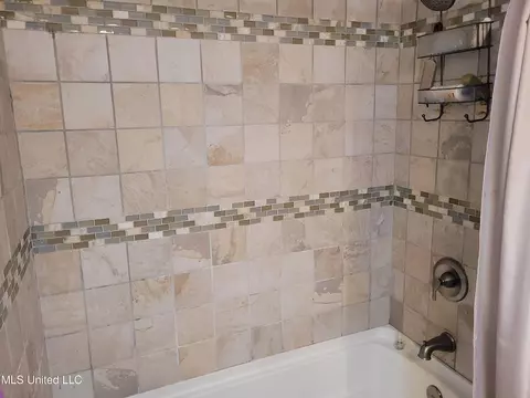 Bath - 138 Chestnut Cv, Jackson, MS 39212 photo 4 of 4