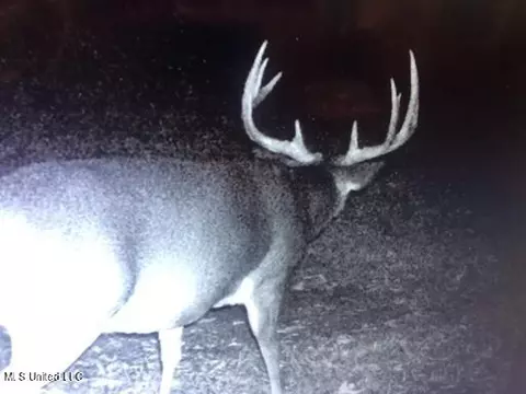 1832 Fort Hill Rd, Grenada, MS 38901