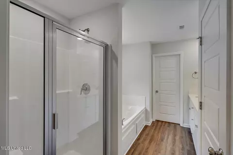 Bath - 2061 Pebble Creek Dr, Brandon, MS 39042 photo 2 of 3