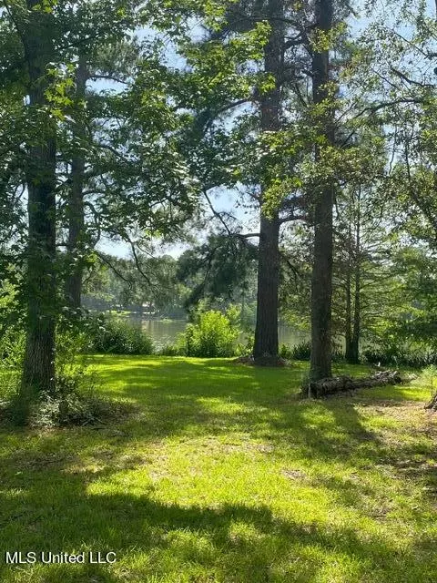 3941 Lake Catherine Dr, Jackson, MS 39212 photo 16
