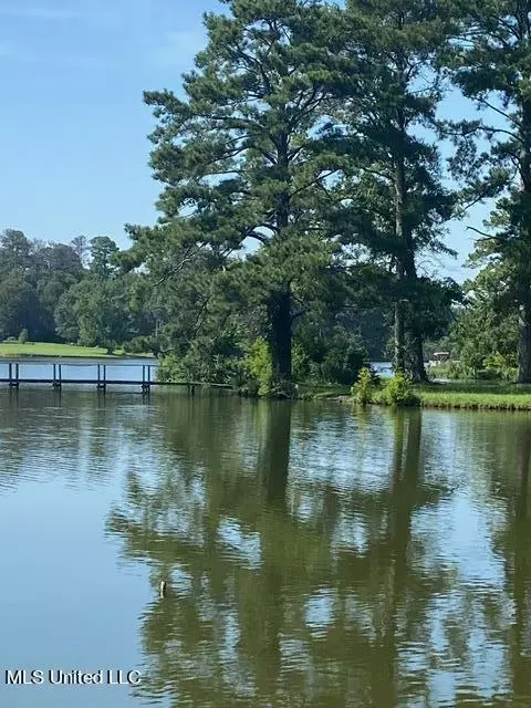 3941 Lake Catherine Dr, Jackson, MS 39212 photo 19