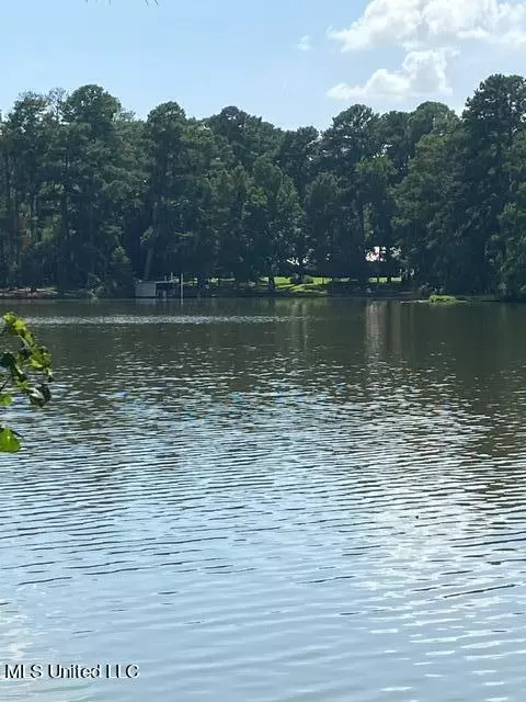 3941 Lake Catherine Dr, Jackson, MS 39212 photo 18