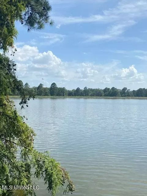 3941 Lake Catherine Dr, Jackson, MS 39212 photo 17