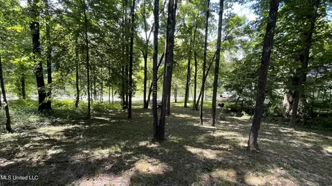11131 Horseshoe Bnd, Hernando, MS 38632 photo 8