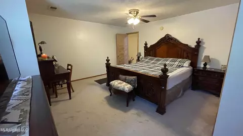 11131 Horseshoe Bnd, Hernando, MS 38632 photo 26