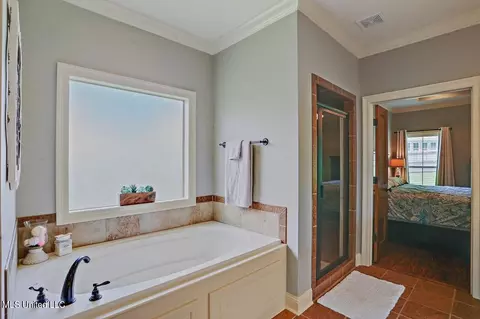 Bath - 123 Meadowcreek Dr, Brandon, MS 39042 photo 2 of 3