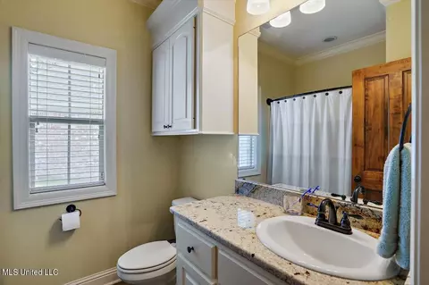 Bath - 123 Meadowcreek Dr, Brandon, MS 39042 photo 3 of 3