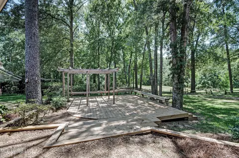 Exterior - 215 Edinburgh Ct, Brandon, MS 39047 photo 6 of 14